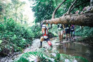 BIB: 
                            <button type="button" onclick="openModal(25444089)" class="btn btn-primary btn-sm float-right btn-popup" data-toggle="modal" data-target=".modal-high-quality">
                        <i class="fas fa-shopping-cart"></i> Add to Cart
                    </button>
                                            <button type="button" onclick="isThisMe(25444089, true)" class="btn btn-success btn-sm float-right btn-popup btn-isme hidden" data-toggle="tooltip" data-placement="bottom" title="นี่คือรูปของคุณใช่ไหม คลิกที่นี่เพื่อเอาเข้าอัลบั้ม">
                        <i class="fas fa-plus"></i> Add to album
                    </button>
                    <button type="button" onclick="isThisMe(25444089, false)" class="btn btn-warning btn-sm float-right btn-popup btn-isnotme hidden">
                        <i class="fas fa-ban"></i> Remove from album
                    </button>